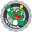 coin icon
